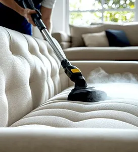 Sofa & Upholstery Cleaning
