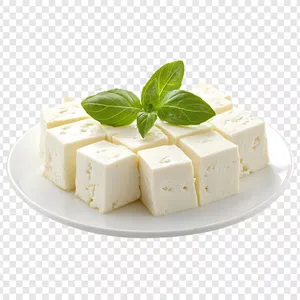 Paneer (Fresh / Packaged)