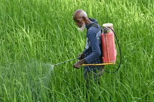 Weed control