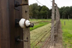 Electric fencing