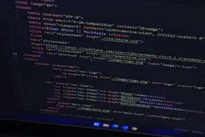 Website development
