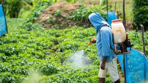 Farm pest control
