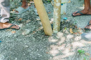 Earthing/grounding installation