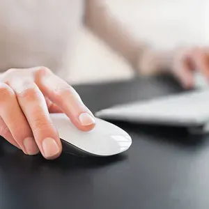 Wireless Optical Computer Mouse