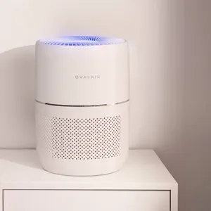 HEPA Air Purifier with Air Ionizer for Rooms