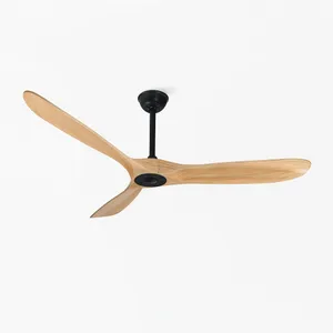 Ceiling Fan Installation