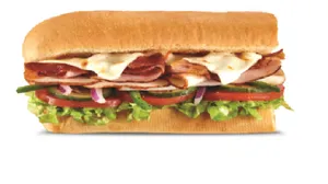 SUBWAY MELT 6 INCH