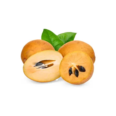 (Fresh) Chikku - 500gms