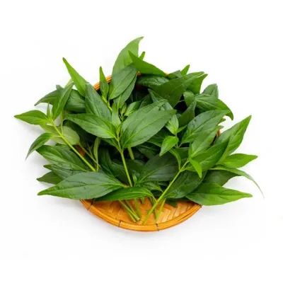 (Fresh) Curry Leaves - 1 Bunch