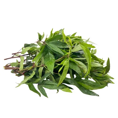 (Fresh) Gongura Leaves - 100gms