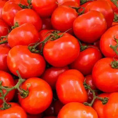 Veggie - Tomato Per kg
