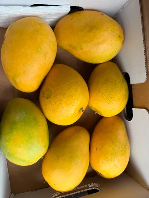Banginapalli (Badami) - 1 Box(6 to 7 Fruits) (Gross Weight: 3 kg (including box))