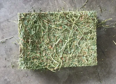 NutriHay Alfalfa Cubes