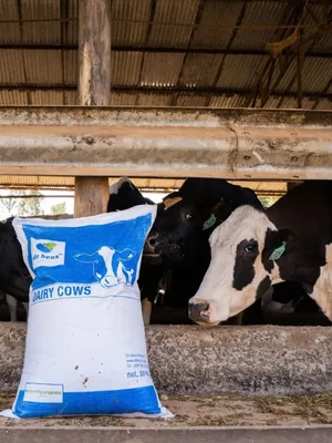 Complete Dairy Nutrition Feed