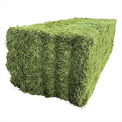 HorseGreen Alfalfa Blocks