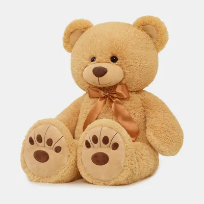 Cuddly Bear Plush Toy