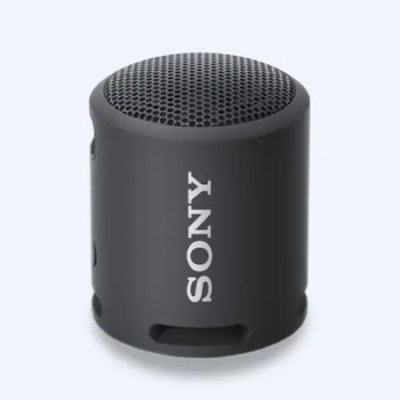 Sony speaker