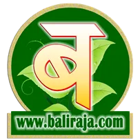 Baliraja Party