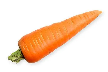 Carrot