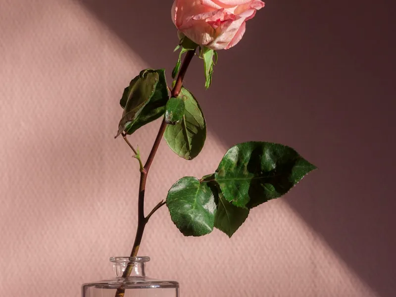 Floral Arrangement Service