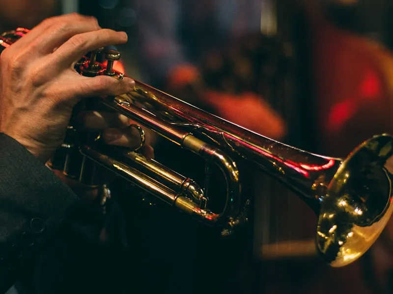 Wedding DJ & Live Music