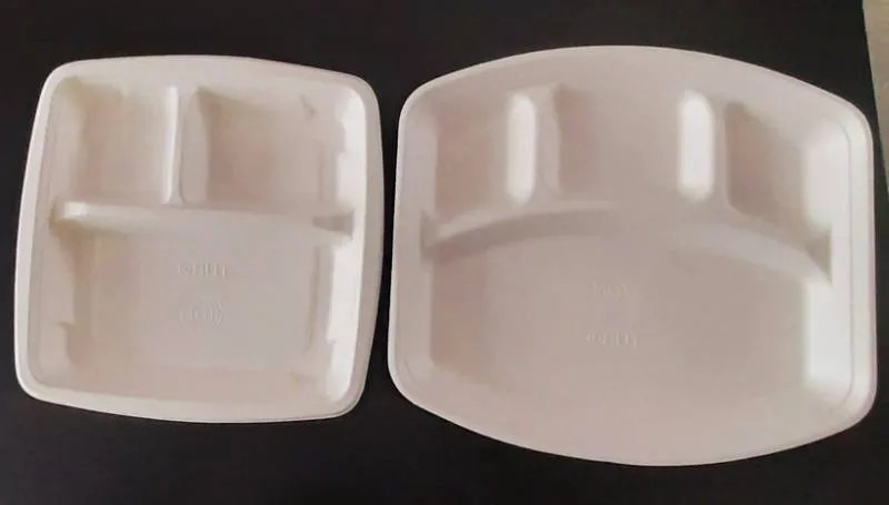 Disposable plates (3 - partition )- tiffin plates 1