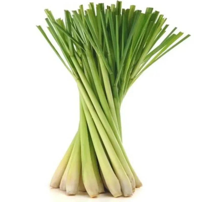 (Fresh) Lemon Grass - 1 Piece
